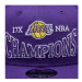 New Era Čiapka Champions Patch 950 Lakers 60364222 Fialová