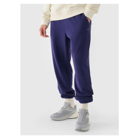 Men's Sweatpants 4F