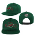 Minnesota Wild detská čiapka flat šiltovka Life Style Printed Snapback