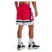 Šortky Under Armour Baseline Woven Short Ii Red