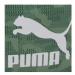 Puma Ruksak Classics Archive Backpack 079651 04 Zelená