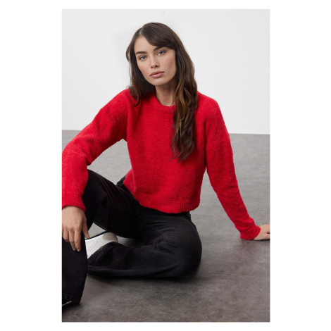 Trendyol Red Special Yarn Knitwear Sweater