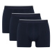 DEFACTO Regular Fit 3-pack Boxer