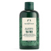 The Body Shop Šampón pre mastné vlasy Tea Tree 250 ml
