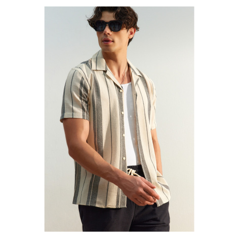 Trendyol Limited Edition Black Regular Fit Striped Textured Summer Shirt
