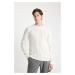 DEFACTO Beige Standard Fit Regular Cut Crew Neck Textured Knitwear Sweater