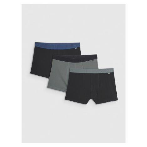 Men's boxers 4F