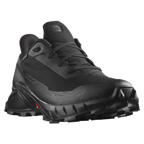 Salomon Alphacross GTX Moonscape/Black/White, EU ⅓ Dámske topánky