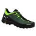 Salewa obuv Alp Trainer 2 M green