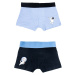 Yoclub Kids's Cotton Boys' Boxer Briefs Underwear 2-pack BMB-0012C-AA30-001