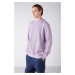 GRIMELANGE Travis Men's Soft Fabric Regular Fit Round Neck Lilac Sweatshir