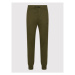 Polo Ralph Lauren Teplákové nohavice 710652314004 Zelená Regular Fit