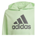 Mikina adidas Big Logo Hoodie Jr IS2591 152 cm