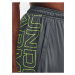 Šortky Under Armour UA Tech WM Graphic Short-GRY