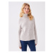 LC Waikiki Turtleneck Plain Long Sleeve Women's Knitwear Sweater