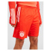 ADIDAS PERFORMANCE Športové nohavice  oranžovo červená / biela