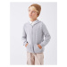 LC Waikiki Lcwk Hooded Basic Long Sleeve Boy's Knitwear Cardigan