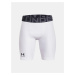 Boys' shorts Under Armour HG Armour Shorts