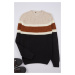 Trendyol Black Slim Woolen Crew Neck Color Block Knitwear Sweater