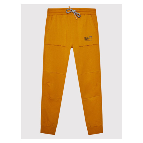 Coccodrillo Teplákové nohavice ZC1120111EVB Oranžová Regular Fit