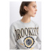 DEFACTO Regular Fit Crew Neck Thick Sweatshirt