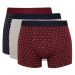 DEFACTO Men's Regular Fit Patterned 3-Pack Boxer