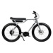 E-BIKE BIGGIE Delirium Silver – Bosch CX – 500 Wh