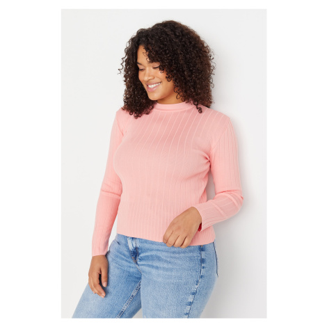 Trendyol Curve Pink Crew Neck Knitwear Blouse