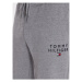 Tommy Hilfiger Teplákové nohavice UM0UM02880 Sivá Regular Fit