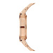 Daniel Wellington Hodinky Link Watch DW00100209 Zlatá