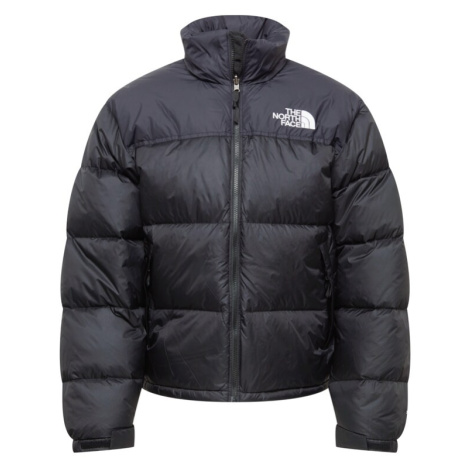 Pánske zimné bundy The North Face