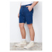 Trendyol Navy Blue Pleated Regular Shorts & Bermuda