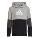 Adidas Colourblock Hoodie Jr HN8563