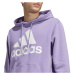 Adidas Essentials French Terry Big Logo Hoodie M IC9368 Pánske oblečenie