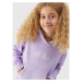 Dievčenská mikina s kapucňou 4F JUNIOR SWEATSHIRT-JAW23TSWSF645-52S-LIGHT VIOLET