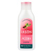 Šampón jojoba 473 ml   JASON
