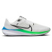 Nike Pegasus 40