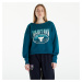 Under Armour Project Rock Terry Sweatshirt Turquoise