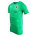 Puma SLAVIA FINAL EVOKNIT GK Pánske brankárske tričko, zelená, veľkosť