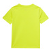 Chlapčenské tričko s krátkym rukávom 4F JUNIOR TSHIRT-4FJWSS24TTSHM1113-72N-LEMON NEON