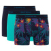 DEFACTO Regular Fit 3-Piece Boxer