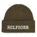 Tommy Hilfiger Čiapka Monotype Beanie AM0AM11737 Zelená