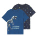 lupilu® Chlapčenské bavlnené tričko, 2 kusy (námornícka modrá/modrá)