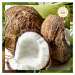 Herbal Essences Hydratačný Kondicionér Coconut Milk, Na Suché Vlasy 275ml