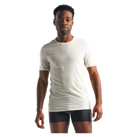 Men's T-shirt Icebreaker Anatomica SS Crewe white Icebreaker Merino