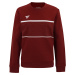 Women's sweatshirt Tecnifibre Club Sweater Cardinal