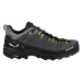 Pánska nízka turistická obuv SALEWA Alp Trainer 2 GTX Shoe M onyx black