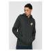 Men's Wasted Youth Hoody - Grey