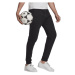 adidas ENT22 SW PNT Pánske futbalové tepláky, čierna, veľkosť