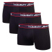 Tommy Hilfiger Jeans Woman's Underpants UM0UM029680R7